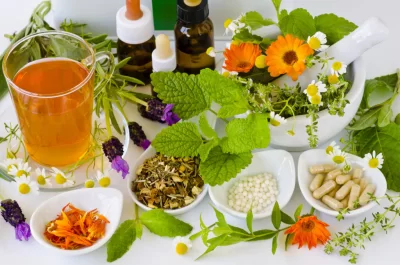 Ayurveda Master Sertifika Programı