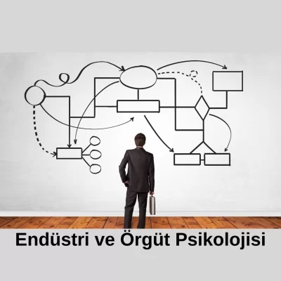 Endüstri ve Örgüt Psikolojisi Doktora Programı