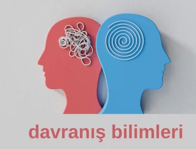 Davranış Bilimleri Lisans / Y. Lisans